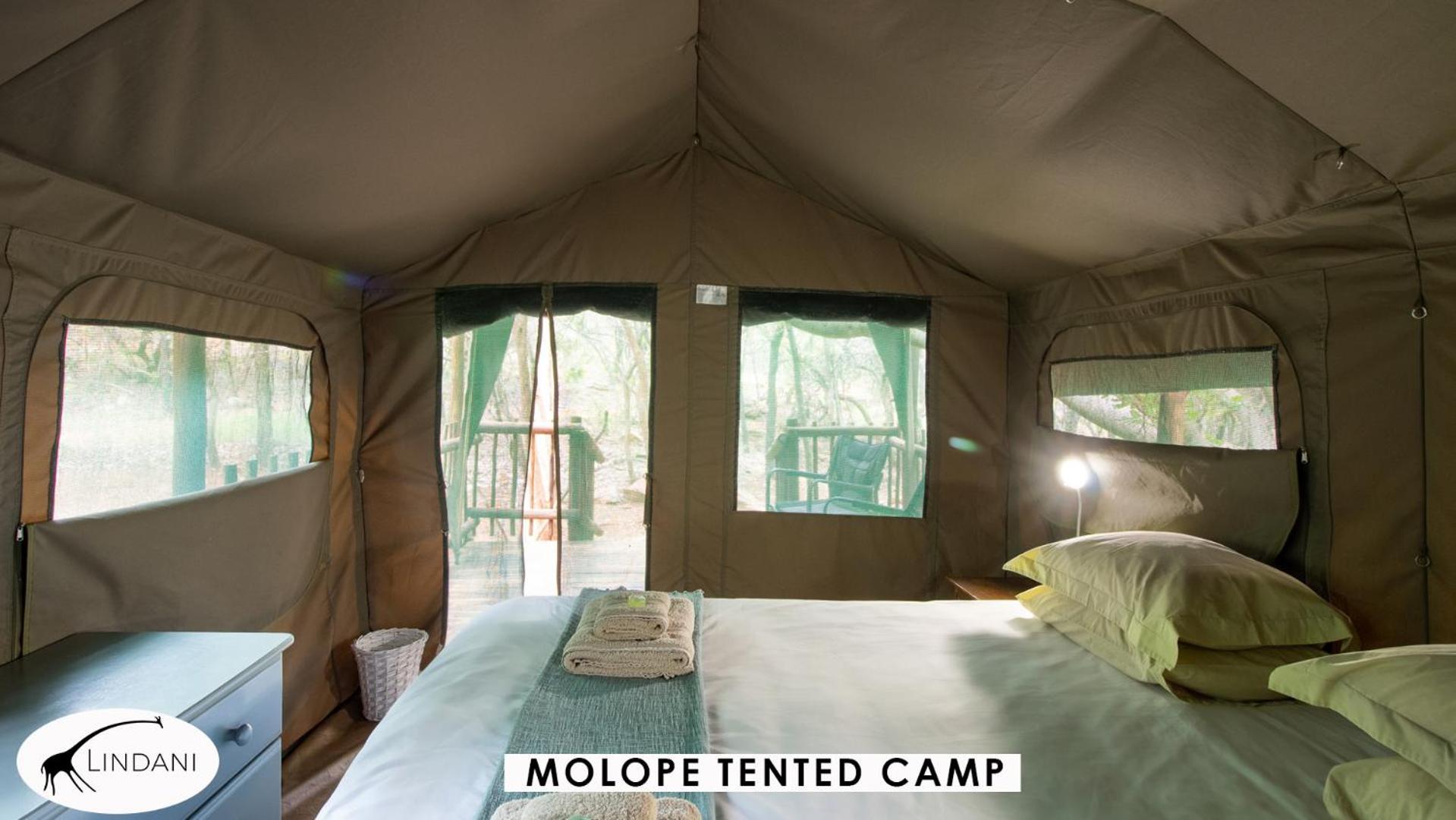 Lindani Game And Lodges Vaalwater Esterno foto