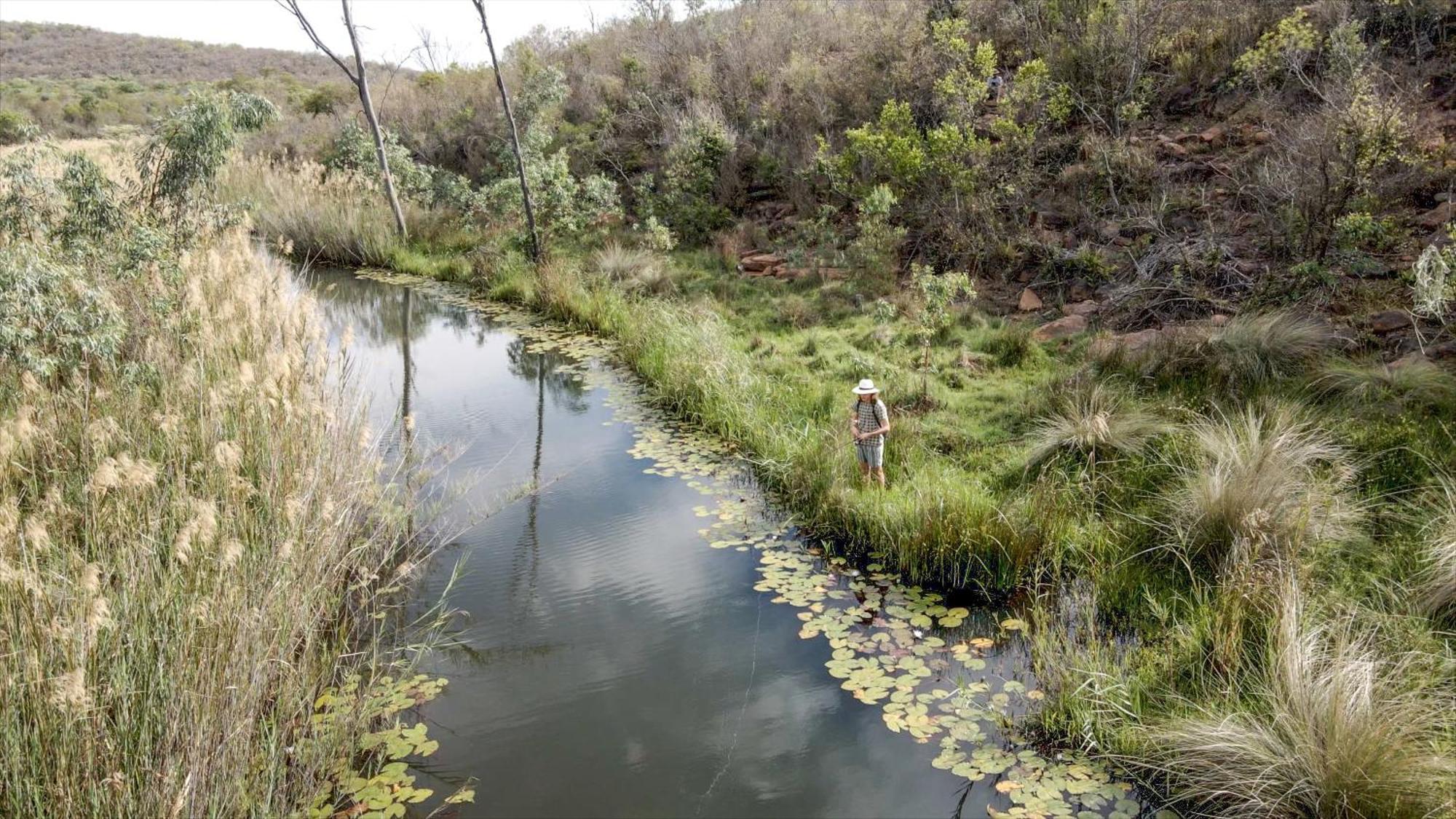 Lindani Game And Lodges Vaalwater Esterno foto